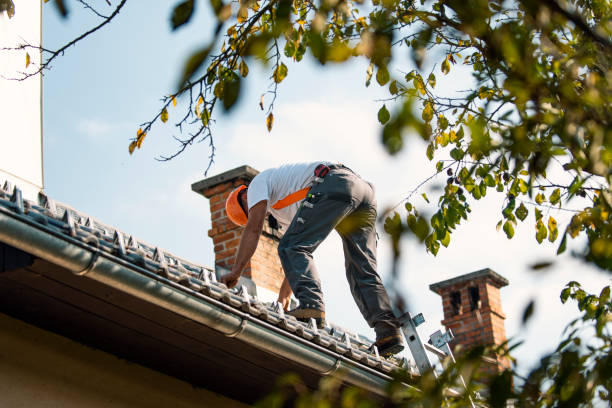 Best Roof Restoration Services  in Ack, NY